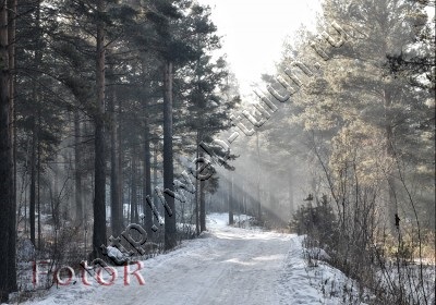 Зимняя дорожка, альбом Природа Тулуна и нашего региона