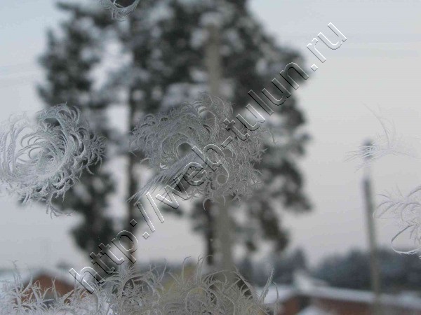 frost014.jpg